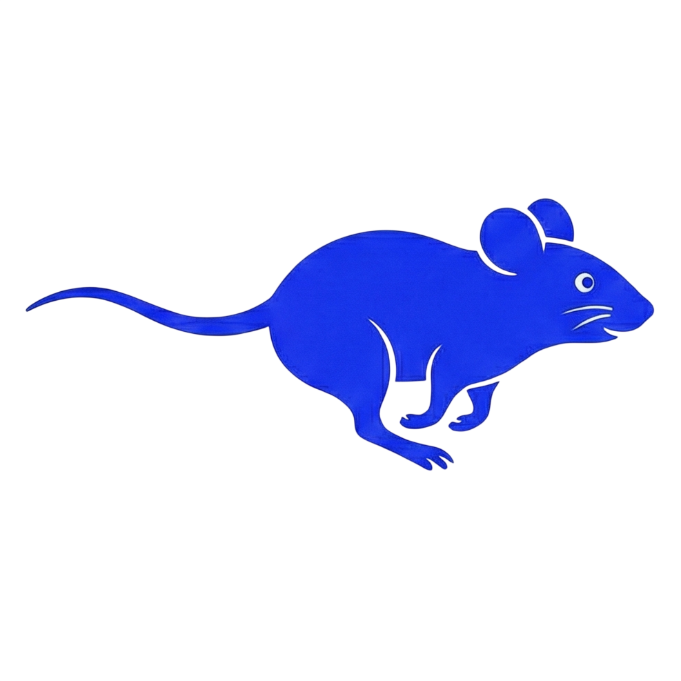 Rat running 1
